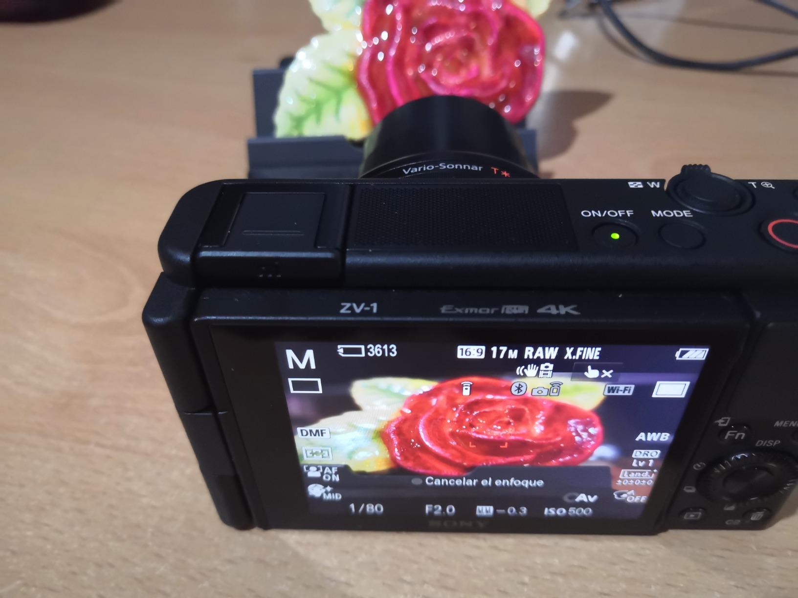 Ideal para fotos de familia