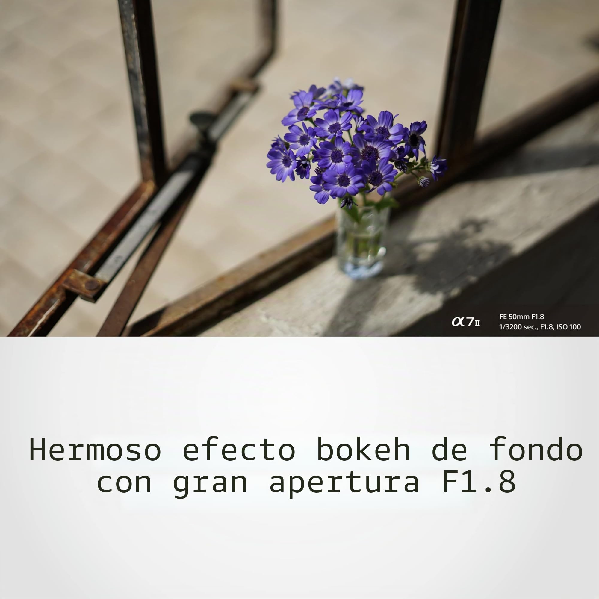 sony-sel50f18f-fe-50mm-f-1-8-objetivo-fijo-50-mm-f1-8-montura-e-full-frame-y-aps image 5
