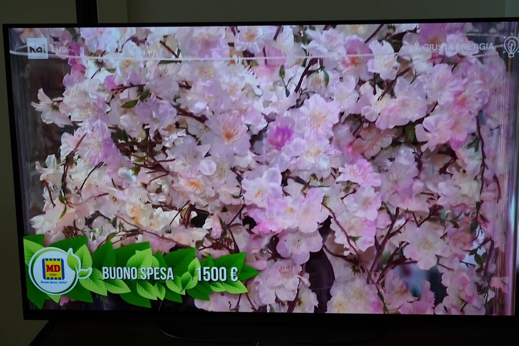 Cambié mi monitor por esto