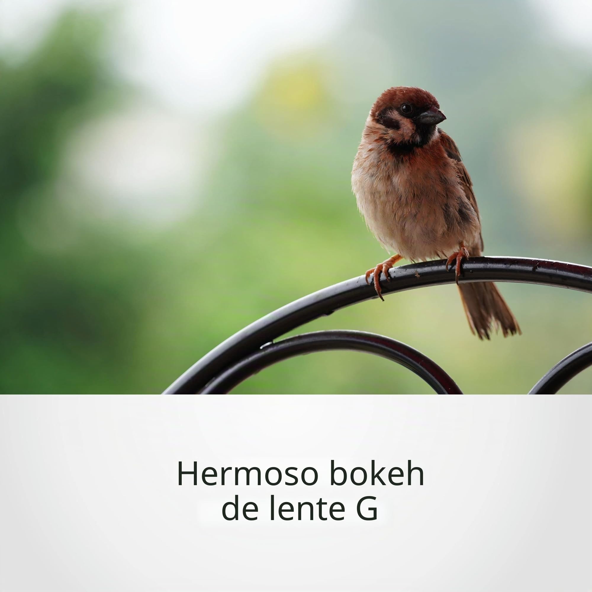 sony-sel70350g-objetivo-superteleobjetivo-zoom-70-350-mm-f4-5-6-3-g-oss-para-aps image 3
