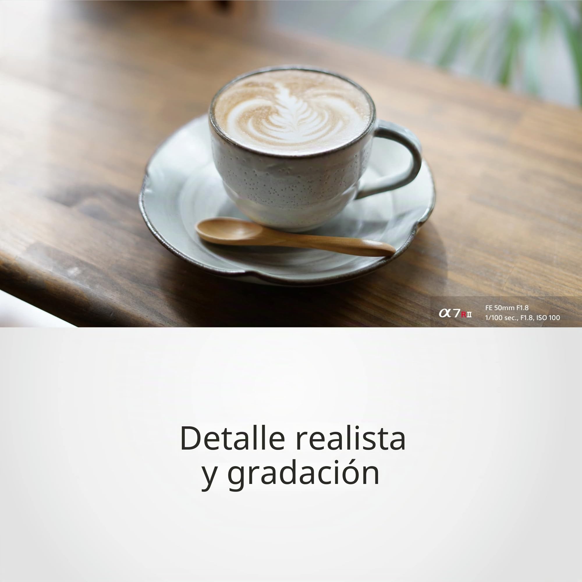 sony-sel50f18f-fe-50mm-f-1-8-objetivo-fijo-50-mm-f1-8-montura-e-full-frame-y-aps image 4
