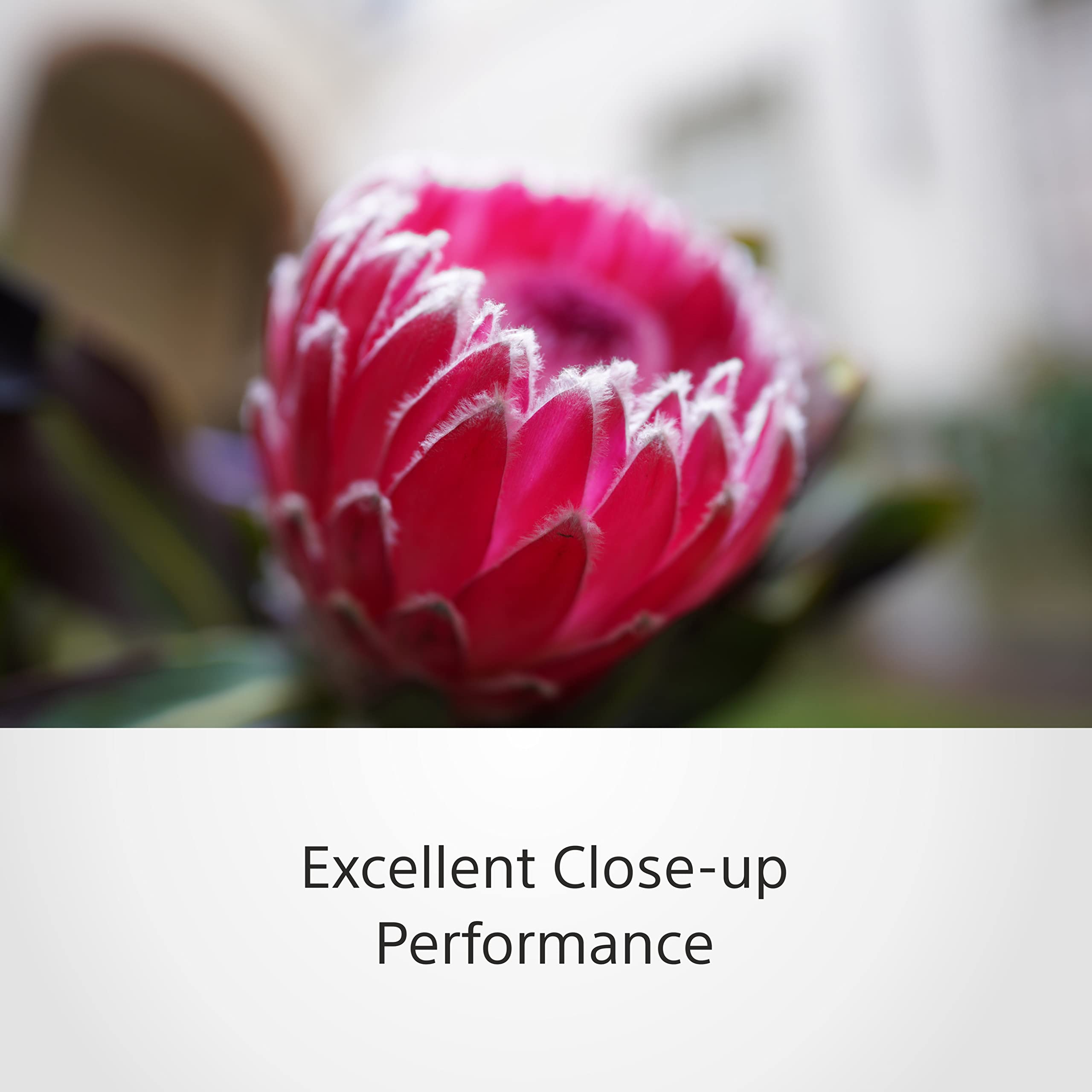 sony-sel20f18g-fe-20-mm-f1-8-g-objetivo-gran-angular-full-frame-g-con-apertura-f image 7