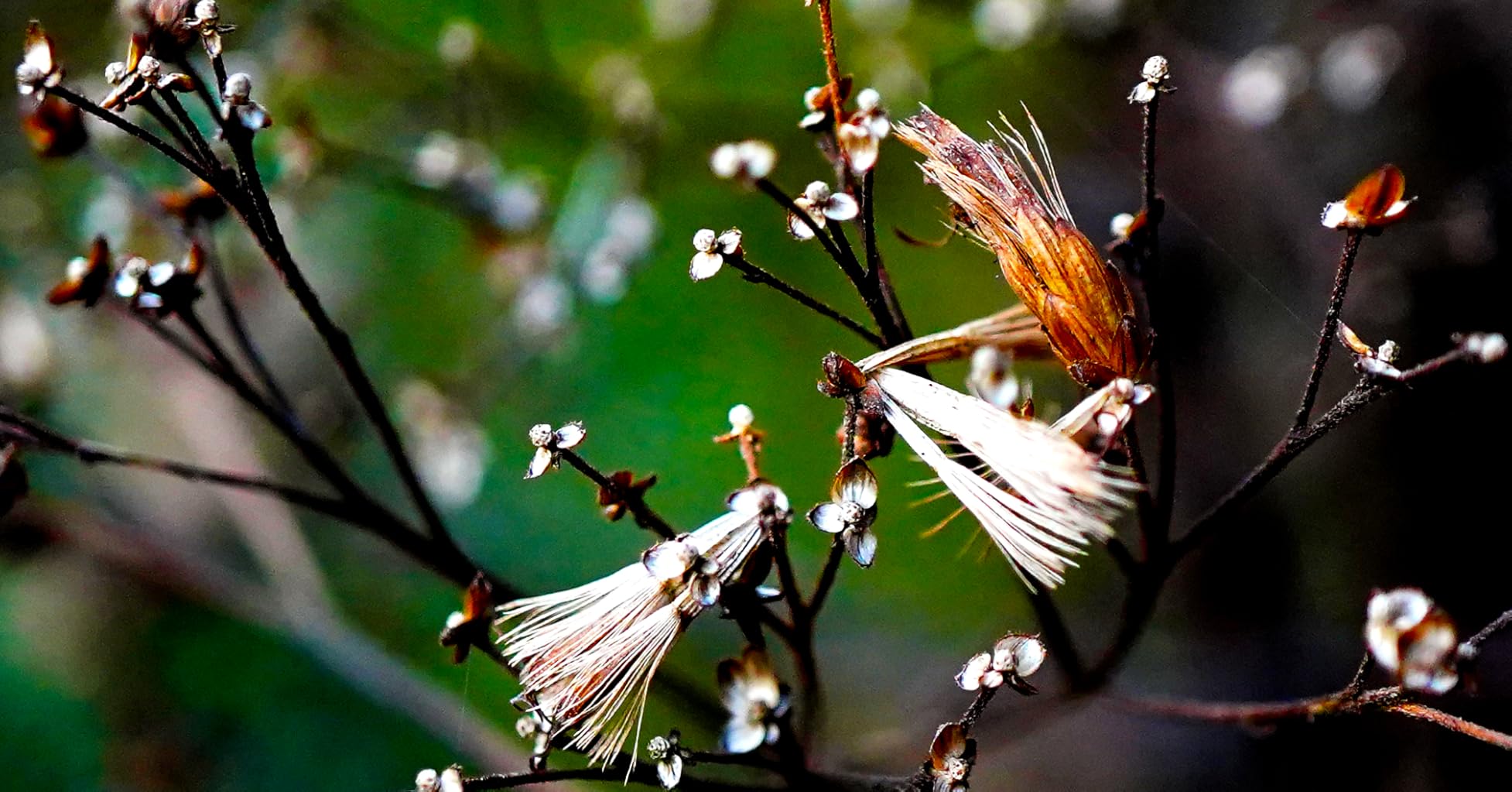 Mundo macro fascinante