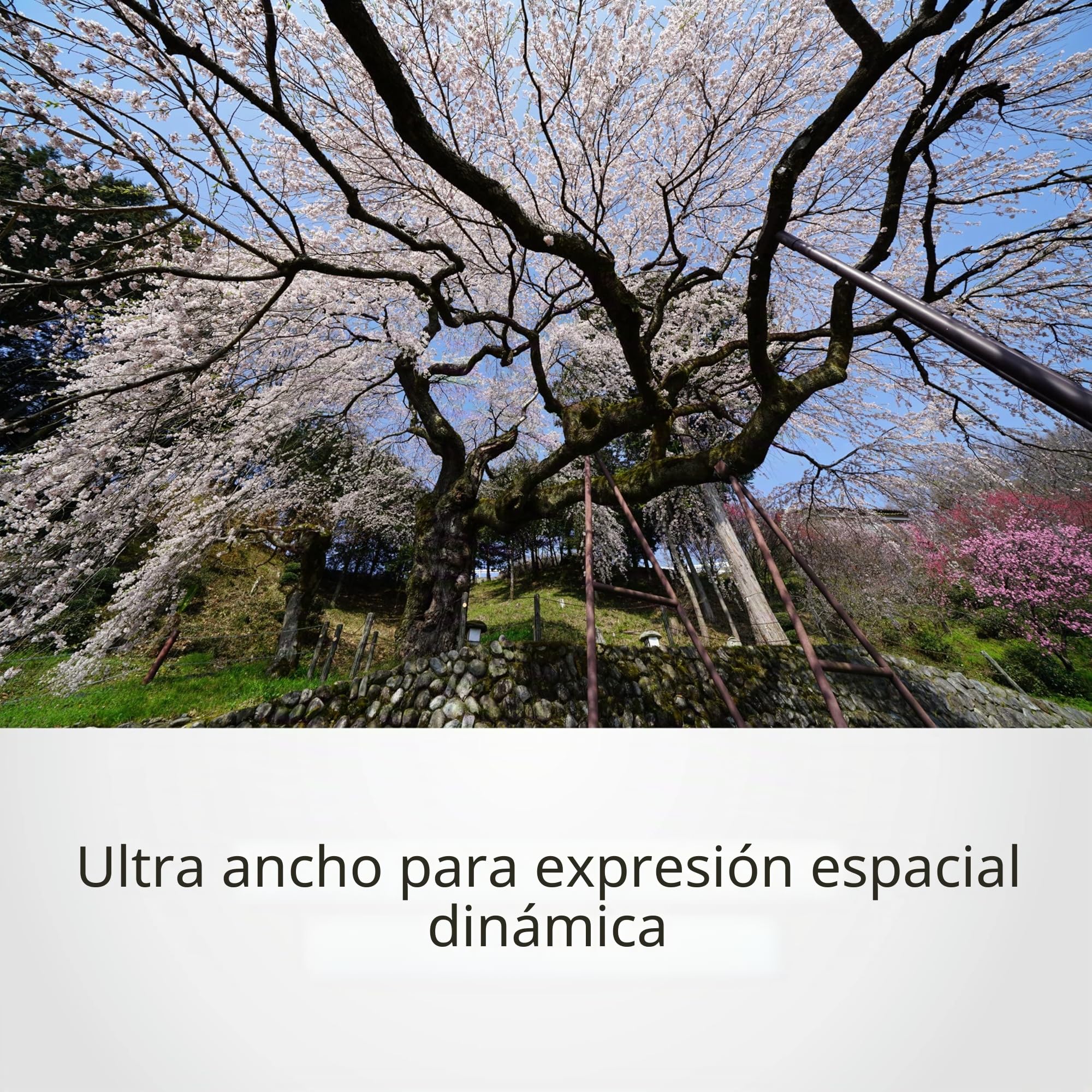 sony-sel1224g-objetivo-zoom-gran-angular-g-12-24-mm-f4-para-montura-e-full-frame image 3